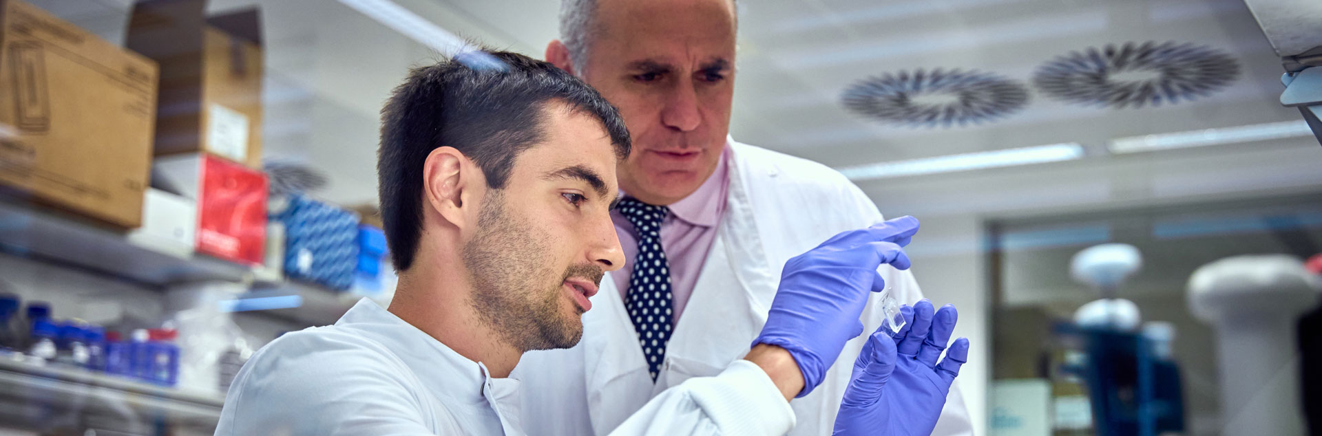 Researchers