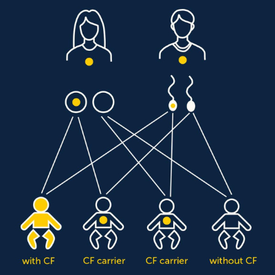 CF inheritance diagram