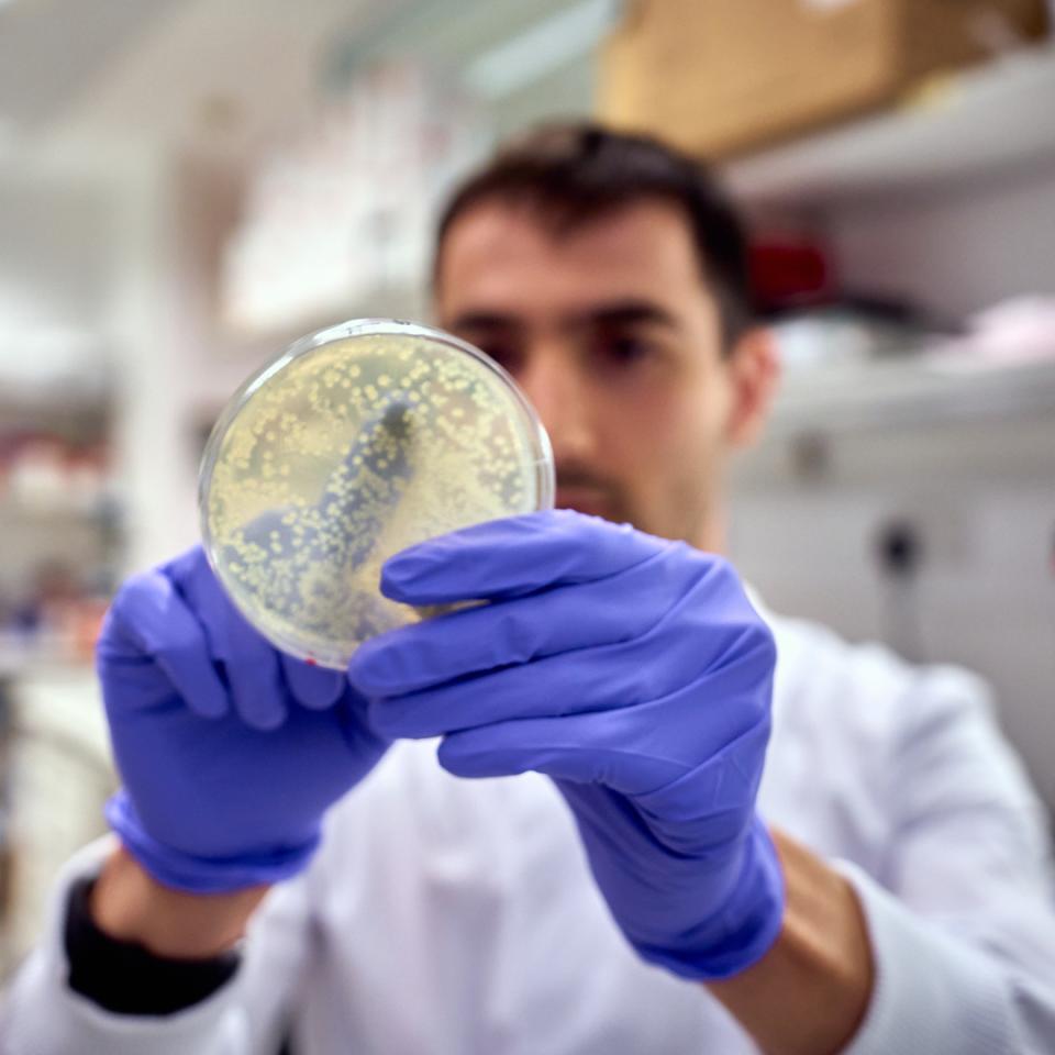Researcher in the lab