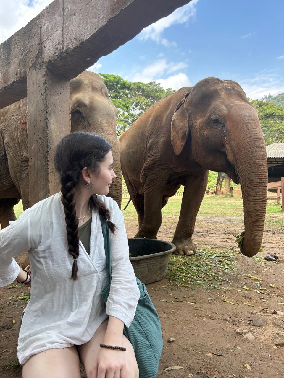Ethical elephant sanctuary visit 