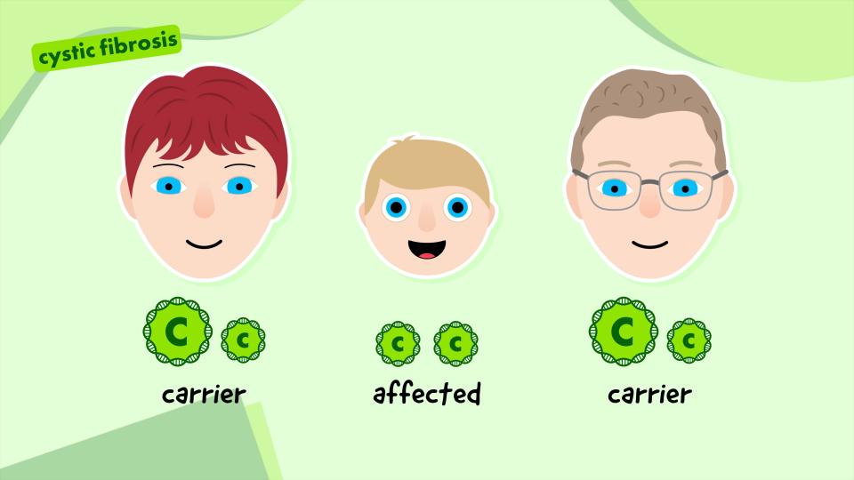 Screenshot from Learning with Will