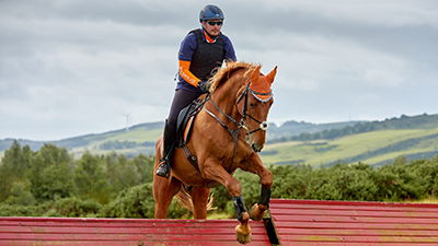 Peter on his horse Ringo