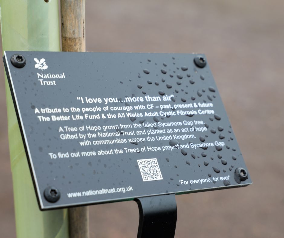 The plaque on the sapling gifted by the National Trust's Trees of Hope initiative