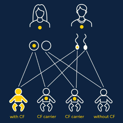 Chances of CF diagram