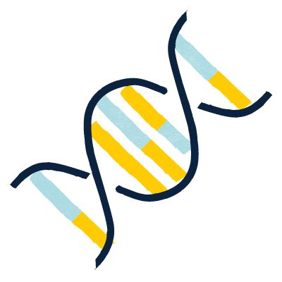 illustration of a gene