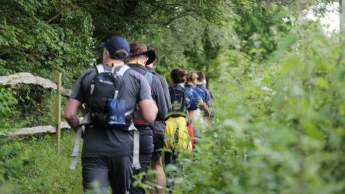 line of adults walking on a footpath between green hedgerows
