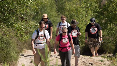Six people in the distance walking on a sandy footpath with rucksacks and all wearing the same tshirt.