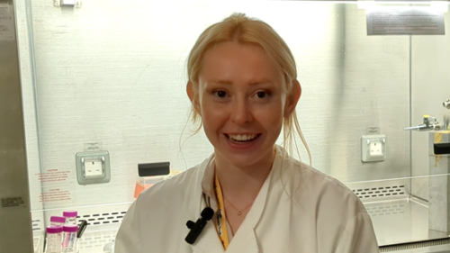 Photo of Issie in the lab