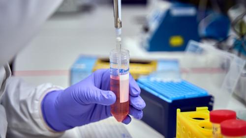 close up image of person working in a laboratory