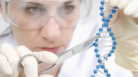 Scientist cutting DNA model