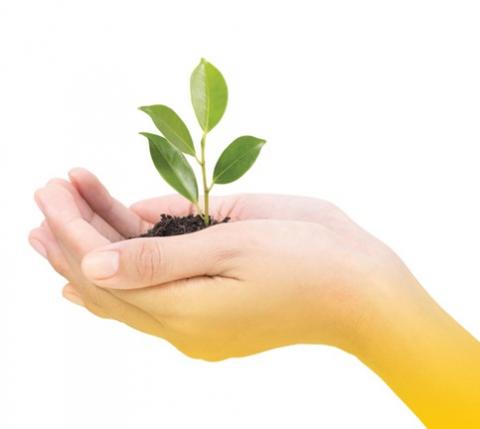 Planting the seed of a gift in your will today helps us continue to grow our support for people with cystic fibrosis.