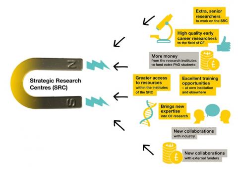 A magnet with Strategic Research Centres written within it. The magnet is attracting eight squares that say: 'Extra, senior researchers to work on the SRC', 'High quality early career researchers to the field of CF', 'More money from the research institutes to fund extra PhD students', 'Greater access to resources within the institutes of the SRC,', 'Excellent training opportunities - at own institution and elsewhere', 'Brings new expertise into CF research', 'New collaborations with industry' and 'new col