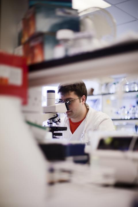 Cystic Fibrosis Trust Microscope in a lab