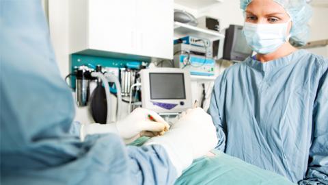 Surgeons at work