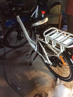 Sheenas e bike