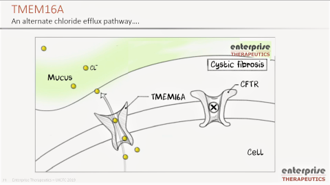 Brightened Enterprise Therapeutics