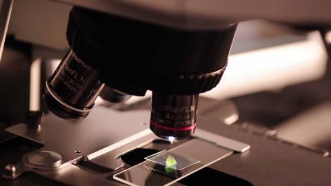 Gene editing image