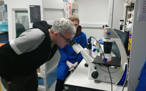 Man in casual clothes looks into microscope while man in lab coat looks on