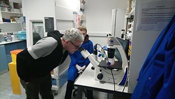 Martin looking down microscope