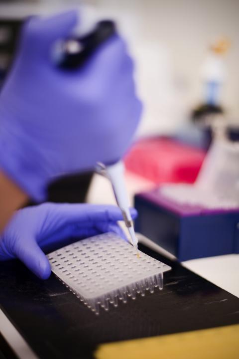 Pipette work in a lab