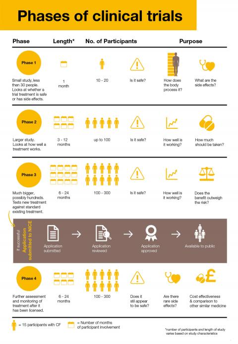 Phases of clinical trials diagram