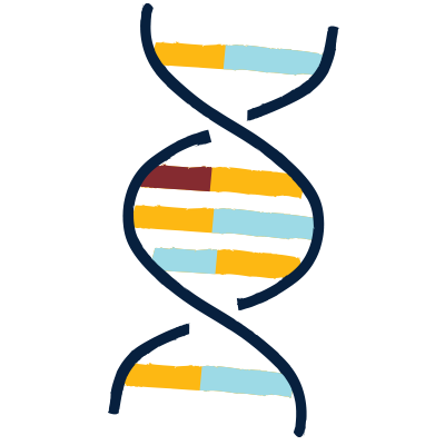 DNA strand