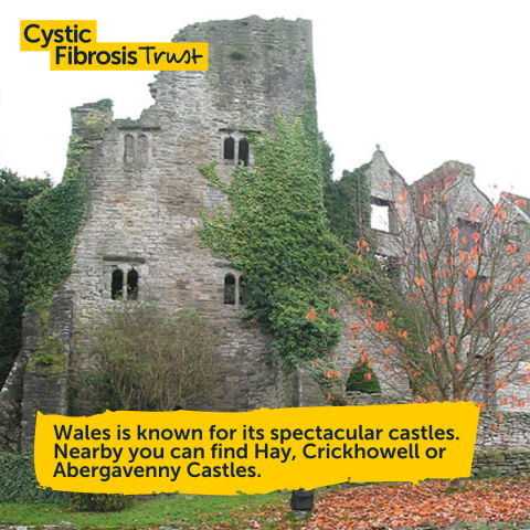 Wales is known for its spectacular castles. Nearby you can find Hay, Crickhowell or Abergavenny Castles.