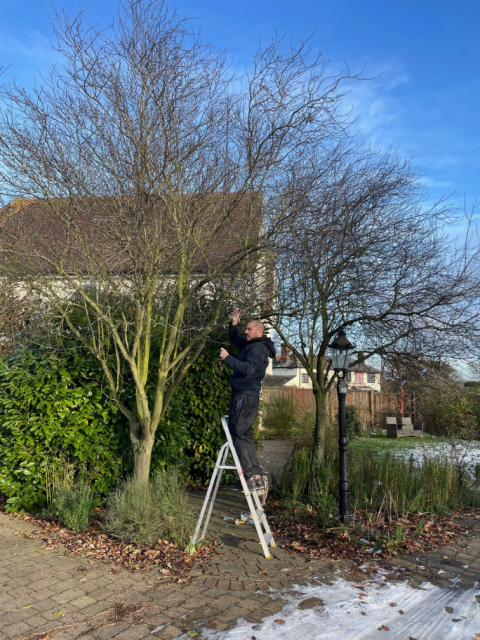 richard putting up xmas lights