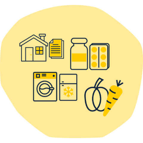 benefits spending graphic - house, bills, prescriptions, appliances, food