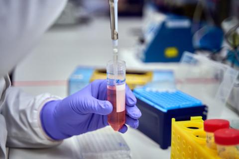 image from the lab