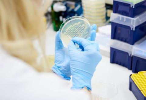 photo of microbiology lab