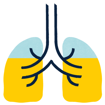 lungs
