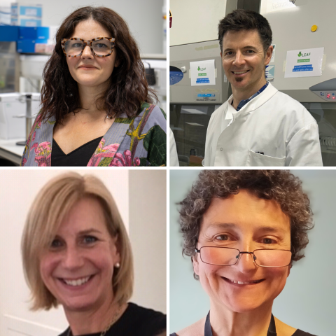 Photos of the four panel member of our ECR conference careers in research panel