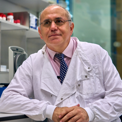 Professor Andres Floto