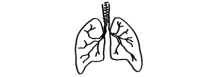 Hand drawn image of lungs