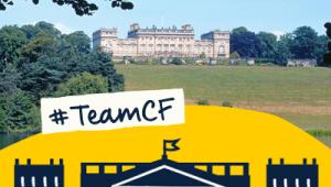 harewood house 1